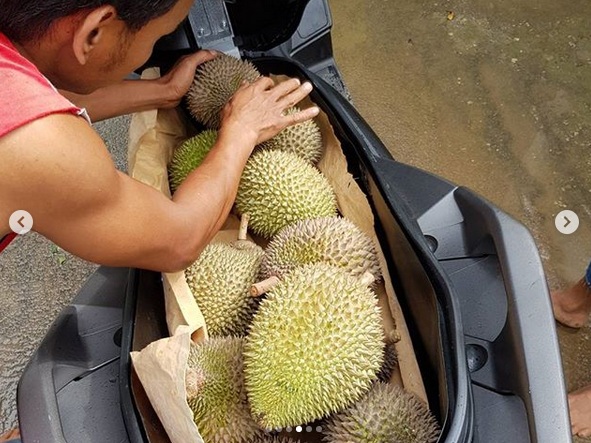 Gambar Durian  Lucu Gokil