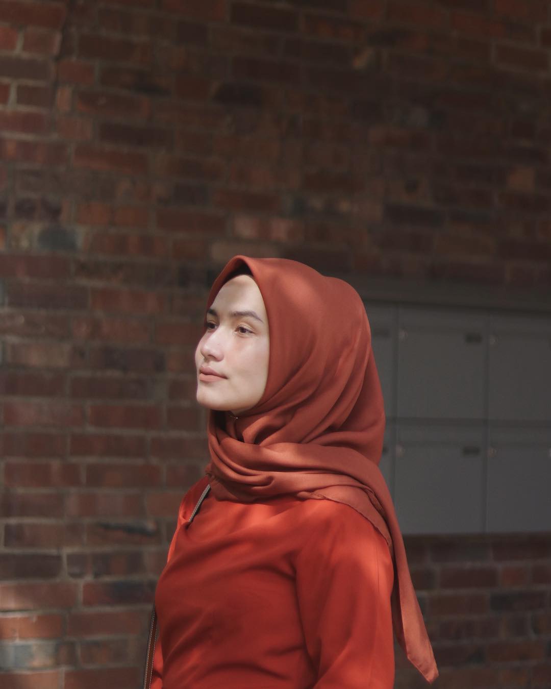  Warna Jilbab Rose  Voal Motif