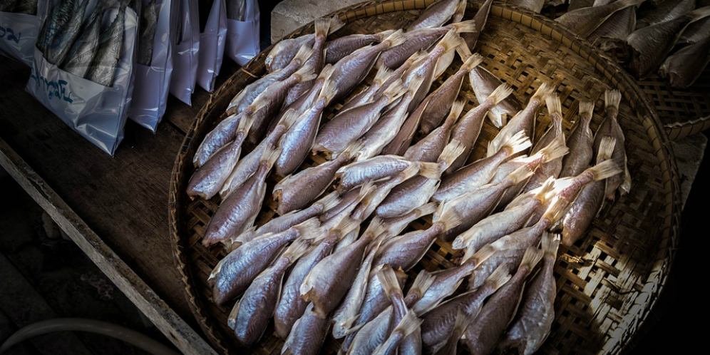 Ikan Asin di China jadi Penyebab Kanker Paling Tinggi