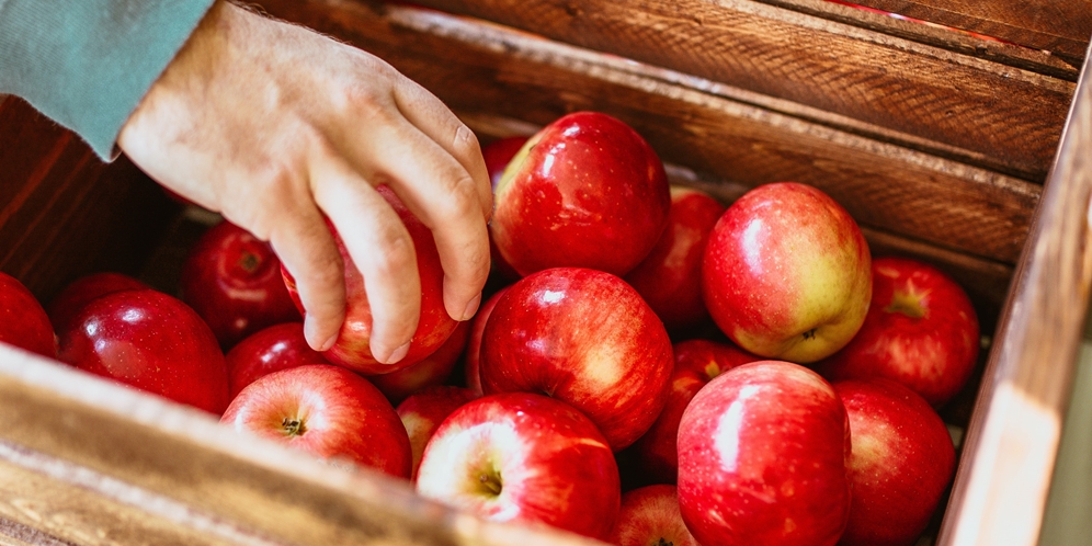 Do Not Peel! This is the Benefit of Apple Skin for the Body, a Source of Vitamins and Minerals