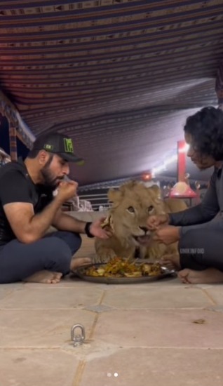 Making Dubai Residents Nervous, Breaking the Fast with a Lion, Netizens: If You're Still Hungry, Just Eat It!