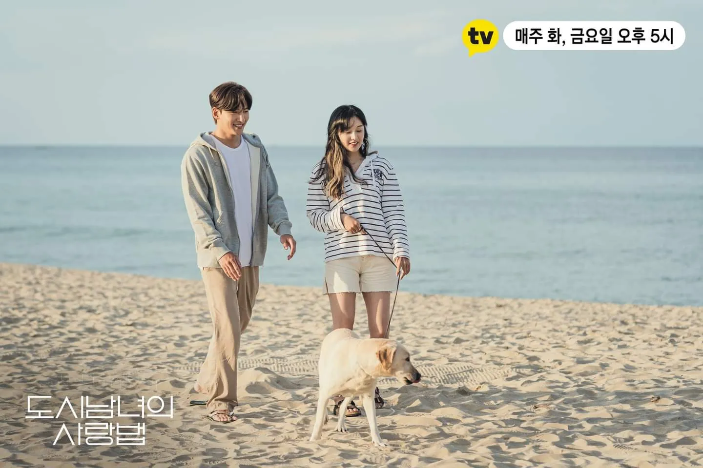 LOVESTRUCK IN THE CITY (2020)