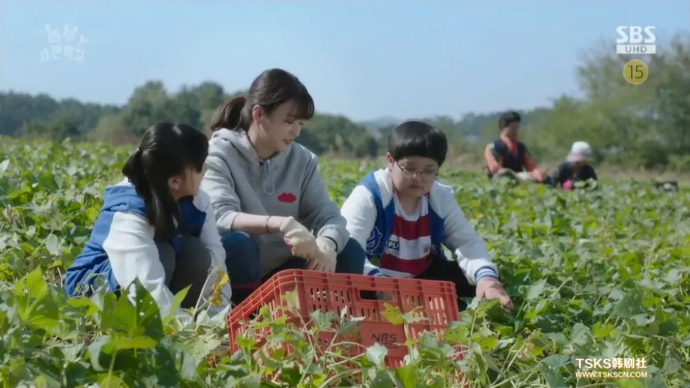 FARMING ACADEMY (2019)