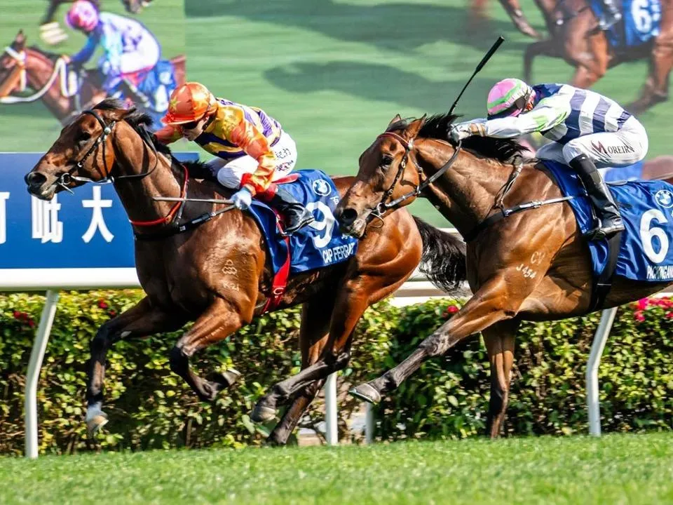 Champions Day, Ajang Bergengsi yang Siap Bikin Deg-degan