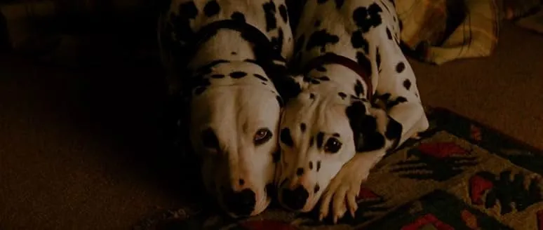 101 DALMATIANS (1996)