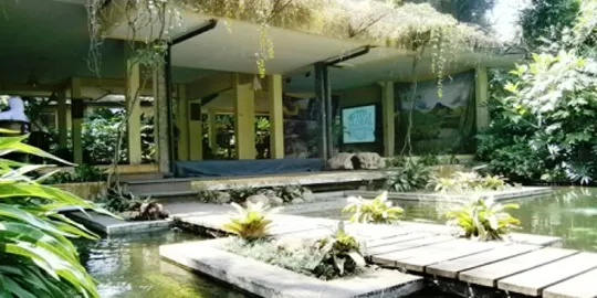 Botanical Cafe - Godong Ijo