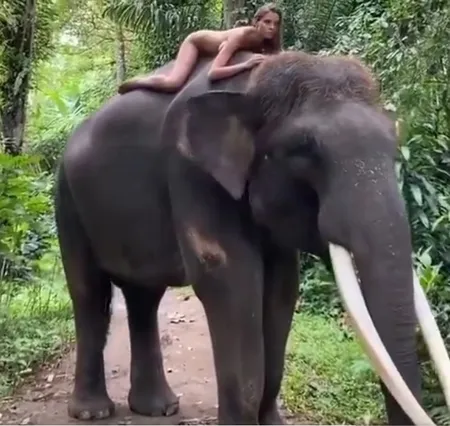 10 Foto Alesya Kafelnikova, Model Asal Rusia yang Bikin Geger Karena Foto Telanjang di Atas Gajah Sumatera