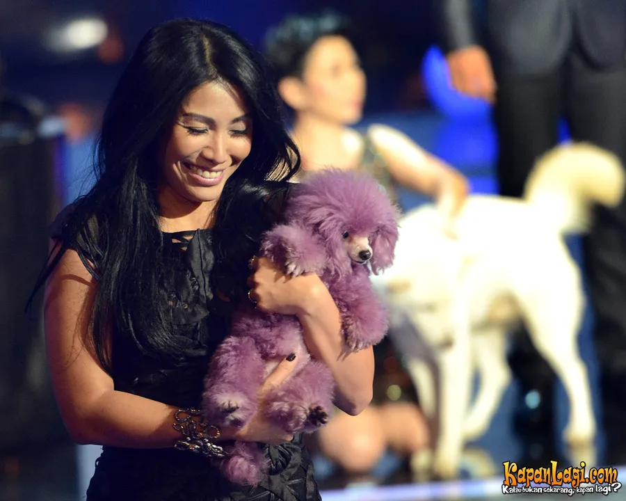 Anggun C Sasmi ©KapanLagi.com®/Bambang E Ros