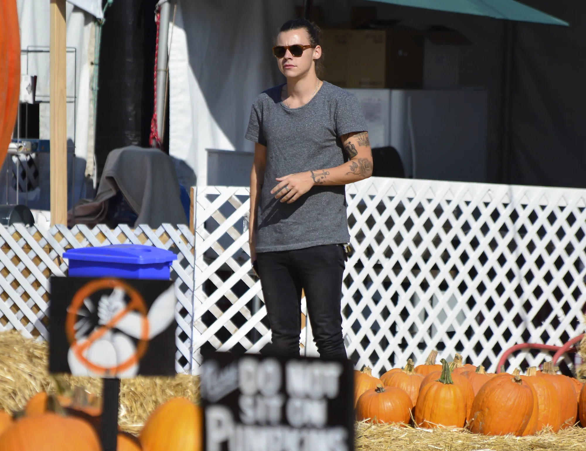 Harry Styles ©Splash