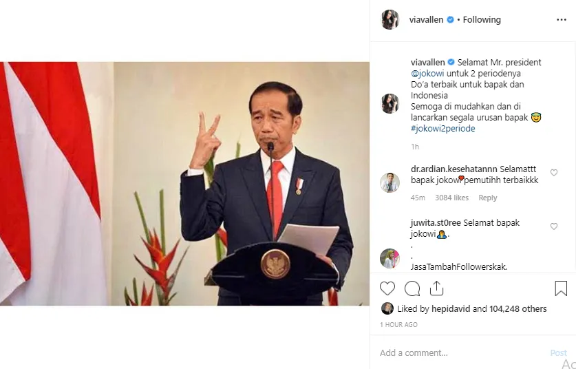 instagram.com/viavallen