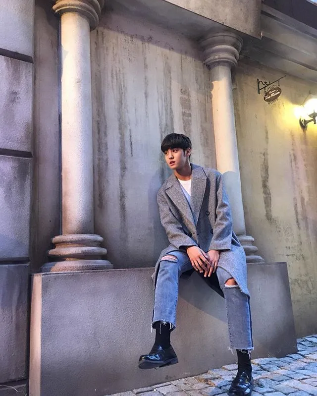 Stylish Bak Model