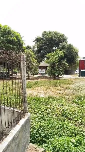 © instagram.com/annisayudhoyono