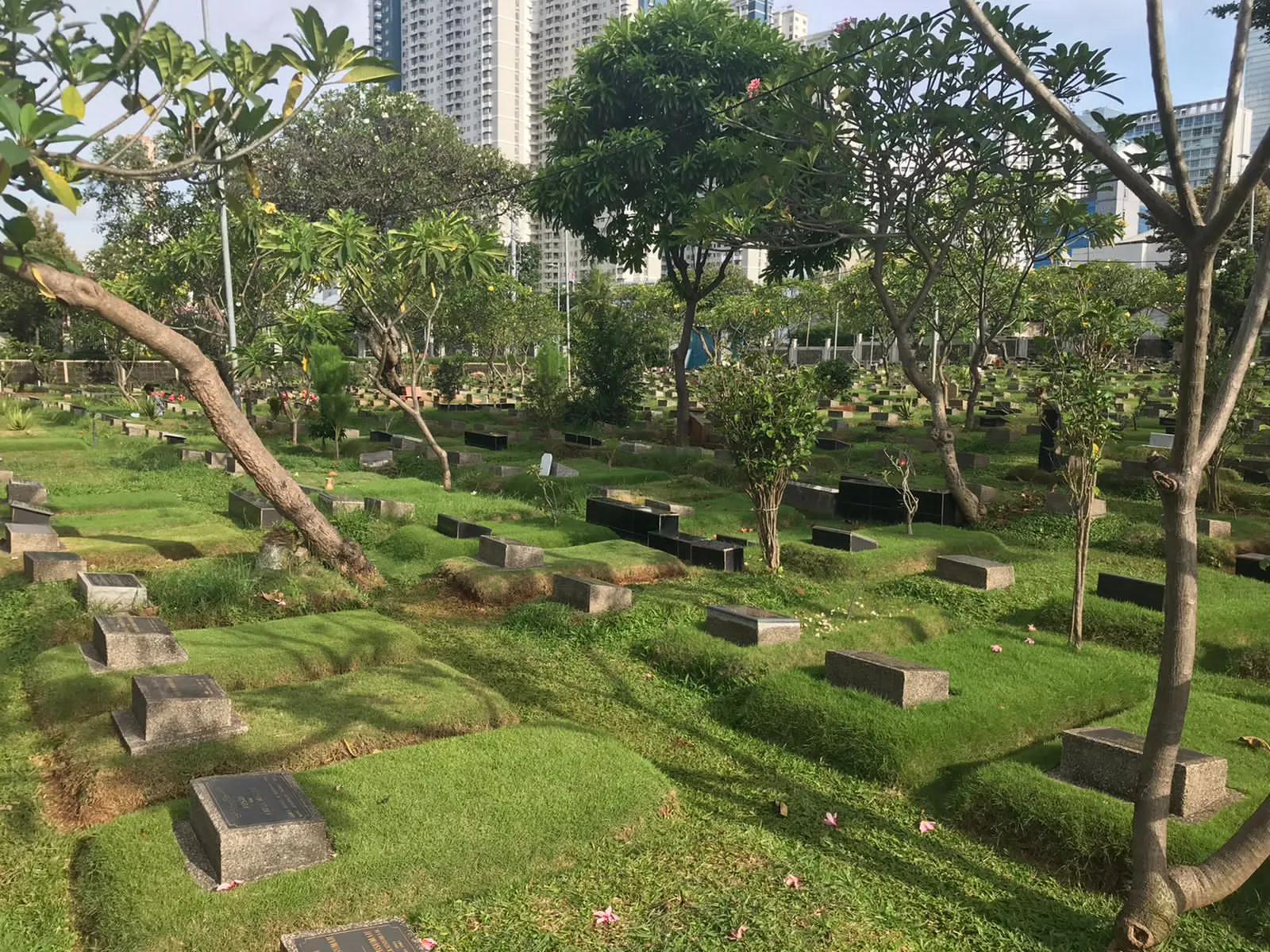 credit: KapanLagi.com/Adi Abbas Nugroho