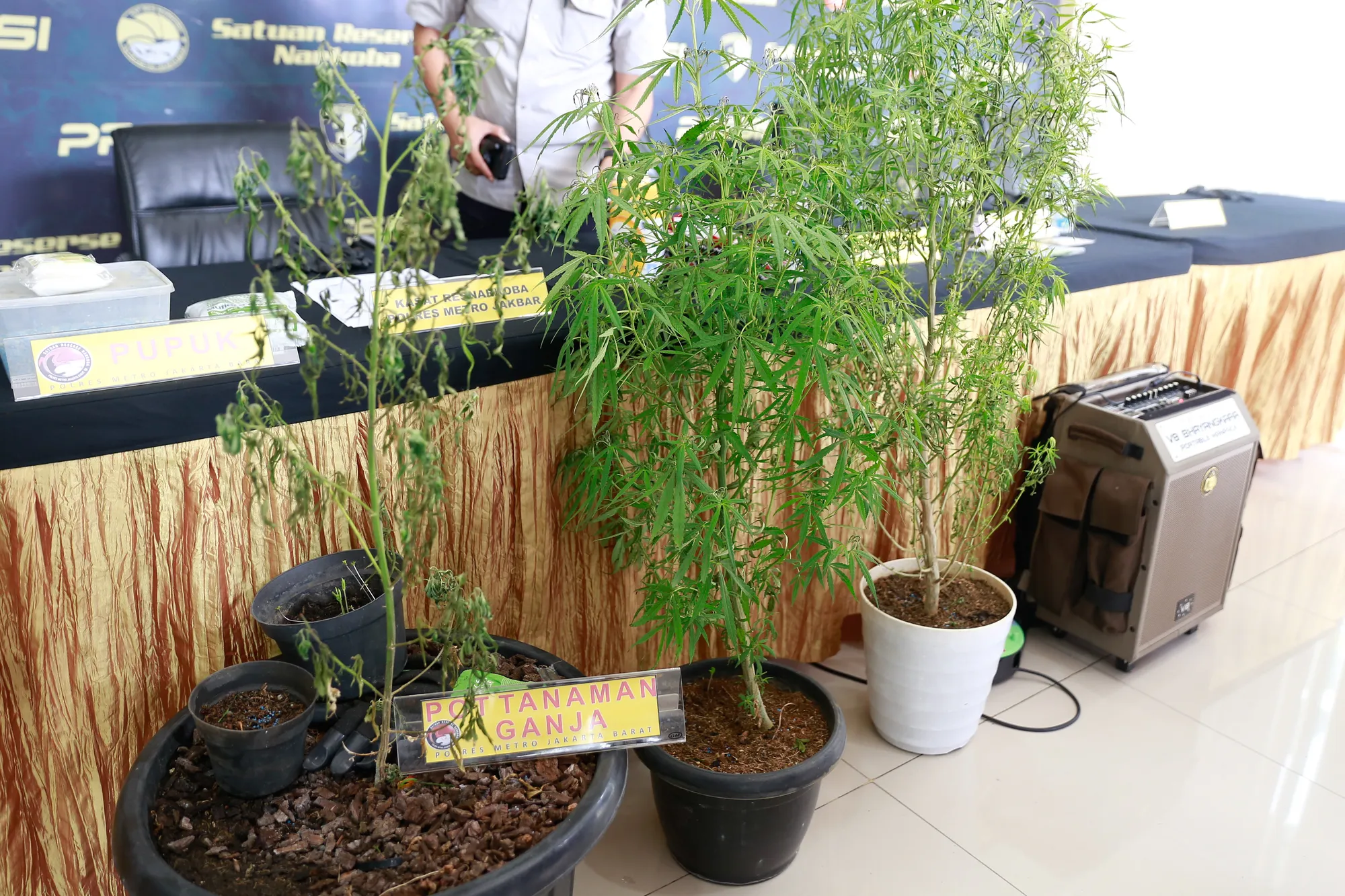 Oge Arthemus © KapanLagi.com/Bayu Herdianto