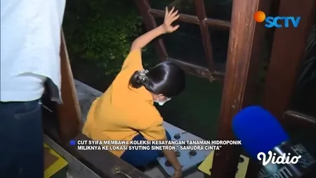 6 Potret Cut Syifa Bawa Tanaman Hidroponik ke Lokasi Syuting 'SAMUDRA CINTA', Dirawat dan Disayang Banget