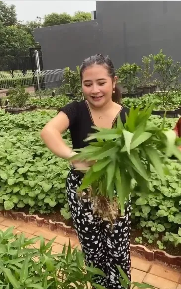 9 Momen Lebaran Hari Kedua Prilly Latuconsina Bagikan THR Anti Mainstream, Rekan-rekannya Antusias Diajak ke Kebun Pribadinya yang Luas