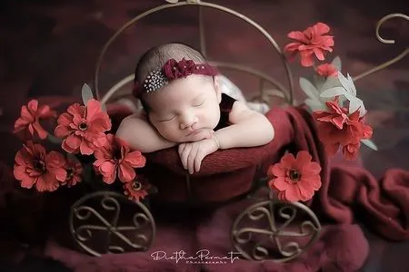 9 Photoshoot Perdana Anak Nella Kharisma dan Dory Harsa, Wajah Cantik Baby Gendhis Ramai Jadi Sorotan
