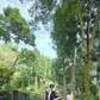 9 Potret Romantis Syahrini dan Reino Barack di Puncak, Sarapan di Tengah Kebun Teh