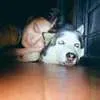 Anjing Kesayangan Cassandra Lee Mati, 15 Tahun Bersama