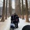 Awali Tahun 2019, Denny Cagur Sekeluarga Liburan ke Korea Selatan