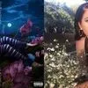 Bikin Instastroy Makin Aesthetic, 10 Rekomendasi Lagu Ini Bisa Jadi Pilihan Kamu
