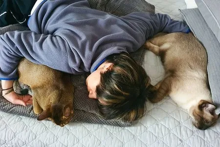 Bikin Iri Fans! 8 Foto Momen Menggemaskan Ten NCT Bersama Kucing Peliharaan, Beri Pelukan Sampai Ciuman Manja
