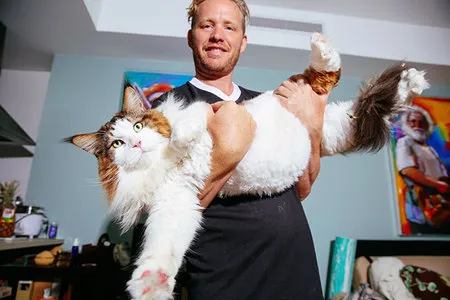 Bobot 13 Kilo, Inilah Foto Samson Kucing Yang Bikin Gemas Netizen 
