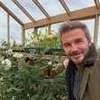 David Beckham Santai di Kebun hingga Menengok Kandang Ayam