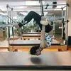 Di Balik Tubuh Indah Nasya Marcella, Rutinitas Pilates Ekstrem