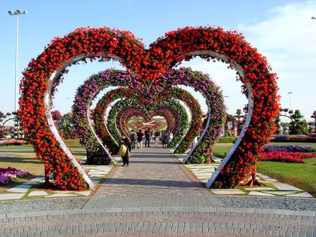 Dubai Miracle Garden Taman Bunga Terbesar Dan Terindah Di Dunia