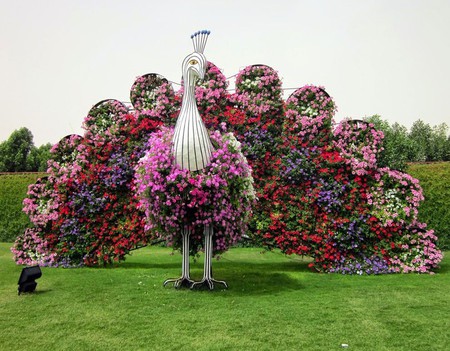 Dubai Miracle Garden Taman Bunga Terbesar Dan Terindah Di Dunia M Kapanlagi Com