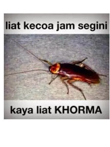 Galau Nunggu Maghrib Foto Foto Meme Lucu Puasa Ini Bikin Ngakak M Kapanlagi Com