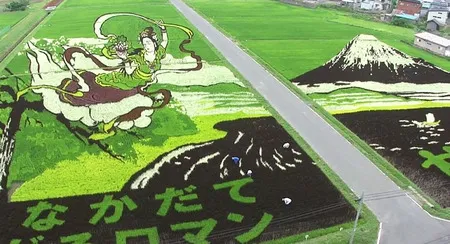 FOTO: Karya Seni Tinggi, Sawah Disulap Menjadi Lukisan Raksasa