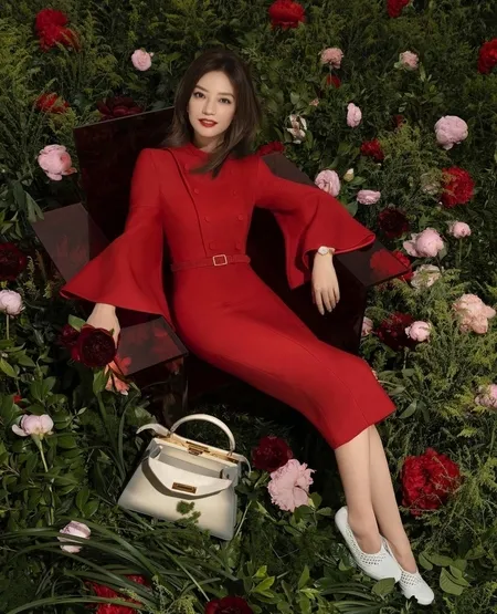 Zhao wei bangkrut