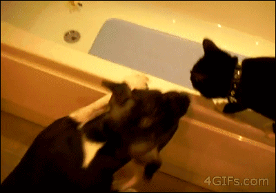 Https Encrypted Tbn0 Gstatic Com Images Q Tbn 3aand9gcsnaz5ah Vgnv8dye8 Ebax Zit3 Nki0gh1g Usqp Cau