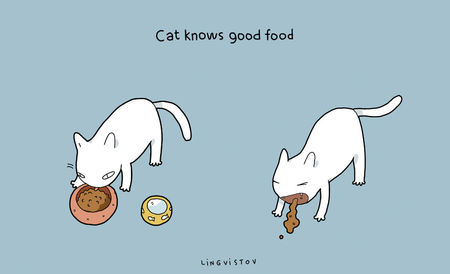 Gambar Ilustrasi Lucu Ini Cuma Dipahami Kamu Yang Pelihara Kucing M Kapanlagi Com