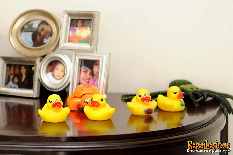 Galeri Foto Apartemen Mewah Nikita Mirzani - Nikita 