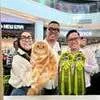 Kucing Peliharaan Astrid dan Uya Kuya Juara 1 di Lomba Feline Fancier Federation
