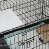 Kucing Uya Kuya Dirawat di Puskeswan, Sempat Stres Kini Kondisinya Berangsur Pulih