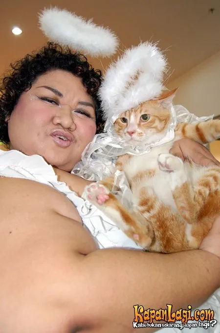 Kucing Fashion