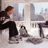 MR. POPPER'S PENGUINS