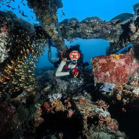 Nikmati Keindahan Dasar Laut, Intip 9 Potret Seleb Cantik yang Hobi dan Jago Diving