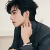Pesona Song Weilong di Singapura, Sesempurna Lin Yushen