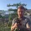 9 Potret David Beckham Panen di Kebun Rumahnya Bareng Istri, Bahagia dengan Hasilnya