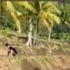 Potret Ibunda Lesti Kejora Bertani di Desa, Hidup Bahagia di Masa Tua