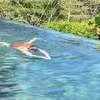 Potret Lee Jong Suk Liburan di Bali, Jajal Beragam Aktivitas Seru
