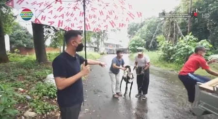 Potret Raffi Ahmad Sembelih Kambing Sendiri Untuk Aqiqah Rayyanza Malik Ahmad, Penuhi Permintaan Nagita Slavina