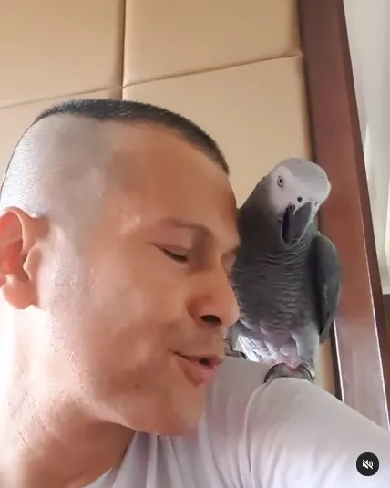 Potret Terbaru Adam Jordan yang Kini Tampil dengan Rambut Plontos, Santai di Rumah Bareng 'Kiko' Burung Peliharaan!