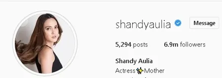 Selain Hapus Profil 'Wife' di IG, Ini Postingan Shandy Aulia yang Diduga Sudah Menyiratkan Kesendirian