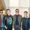 Sempat Jadi Band Reguler Kafenya, Mantan Suami Catherine Wilson Mantap Orbitkan Alis Band